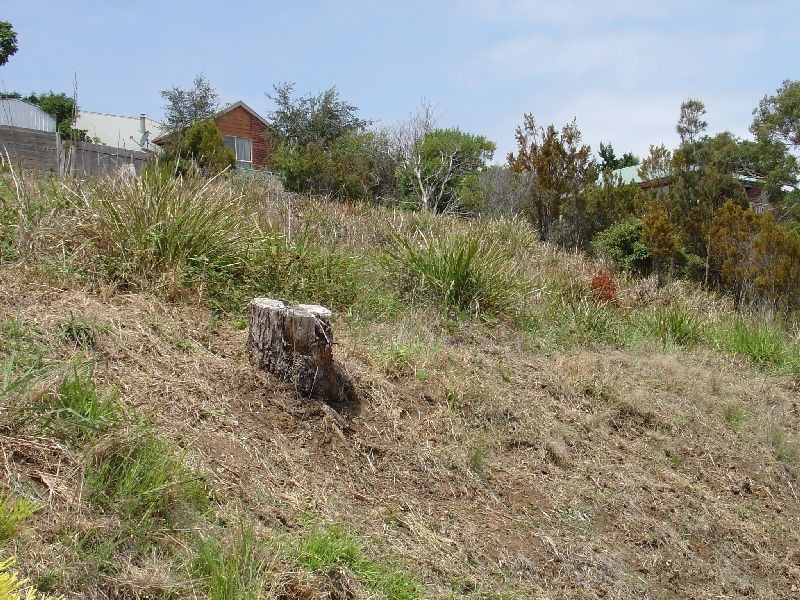 10 Georgiana Street, Devonport TAS 7310