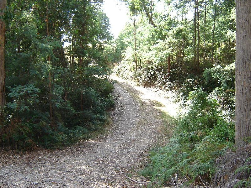 126 Knox Drive, Spreyton TAS 7310