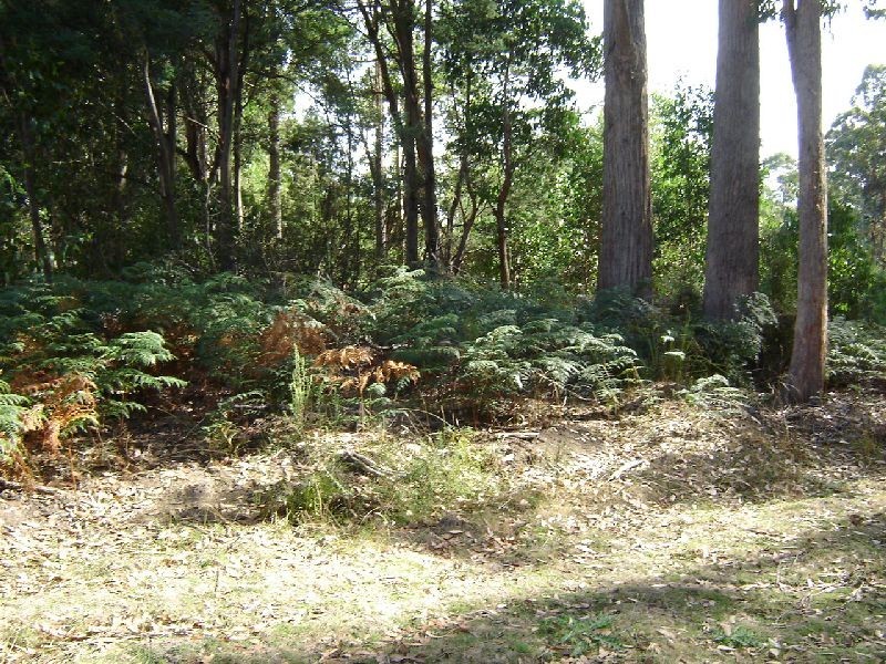 126 Knox Drive, Spreyton TAS 7310