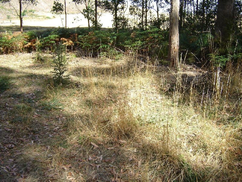 126 Knox Drive, Spreyton TAS 7310