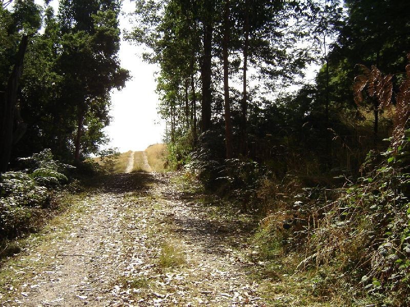 126 Knox Drive, Spreyton TAS 7310