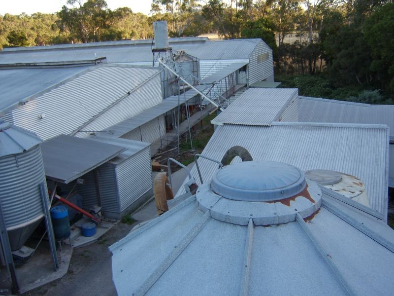 162 Moriarty Road, Latrobe TAS 7307