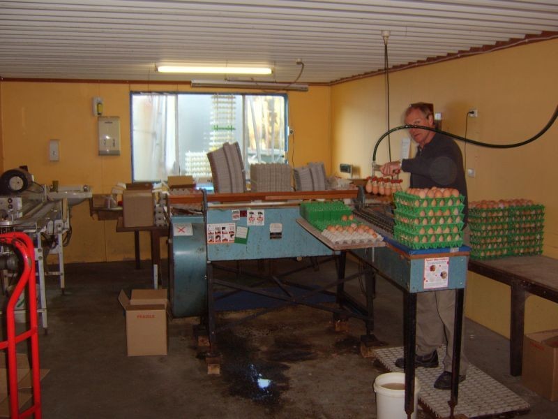 162 Moriarty Road, Latrobe TAS 7307