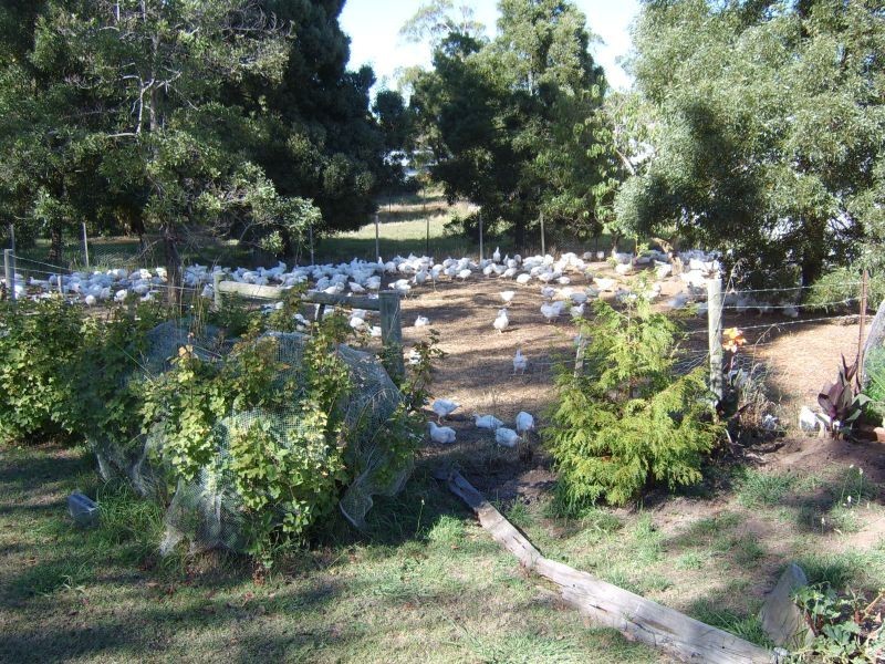 162 Moriarty Road, Latrobe TAS 7307