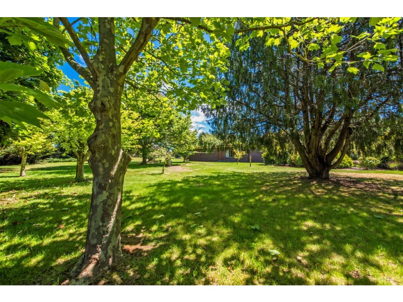 194 Beer Street, Wesley Vale TAS 7307