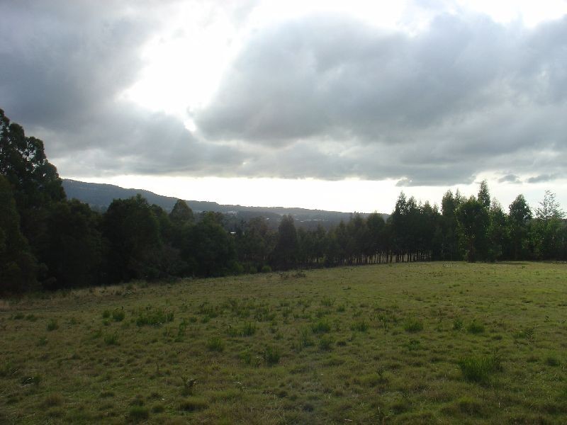 8 Davies Court, South Spreyton TAS 7310