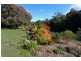 38 Winifred Avenue, Acacia Hills TAS 7306