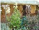91 Coal Hill Road, Latrobe TAS 7307