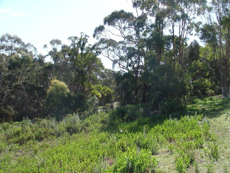 64-72 Surrey Street, Devonport TAS 7310