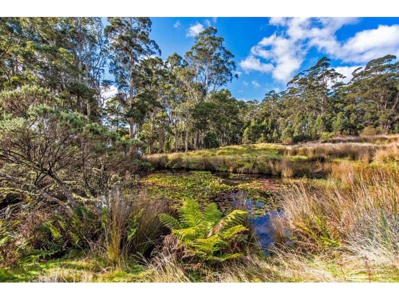 36 Kop Road, Erriba TAS 7310