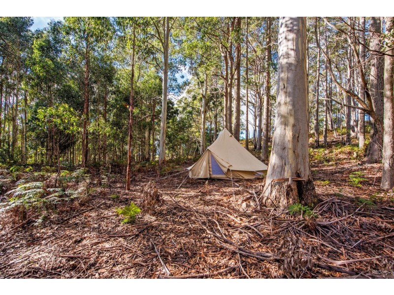 36 Kop Road, Erriba TAS 7310