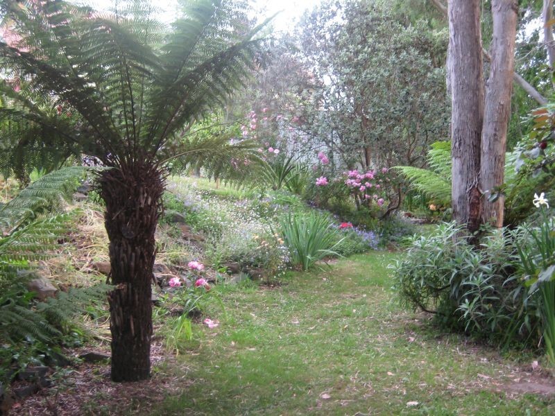 32 Bradshaw Street, Latrobe TAS 7307