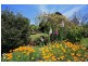 5 Clerke Street, Leith TAS 7315