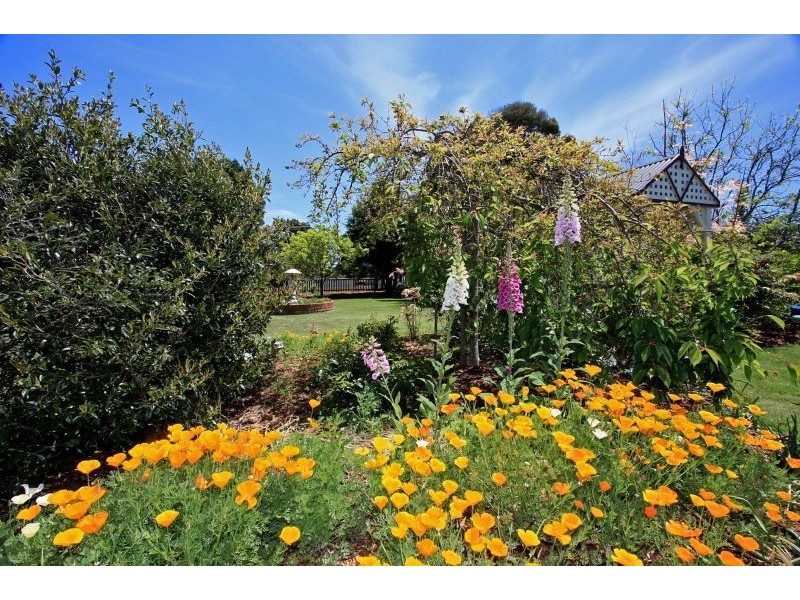 5 Clerke Street, Leith TAS 7315