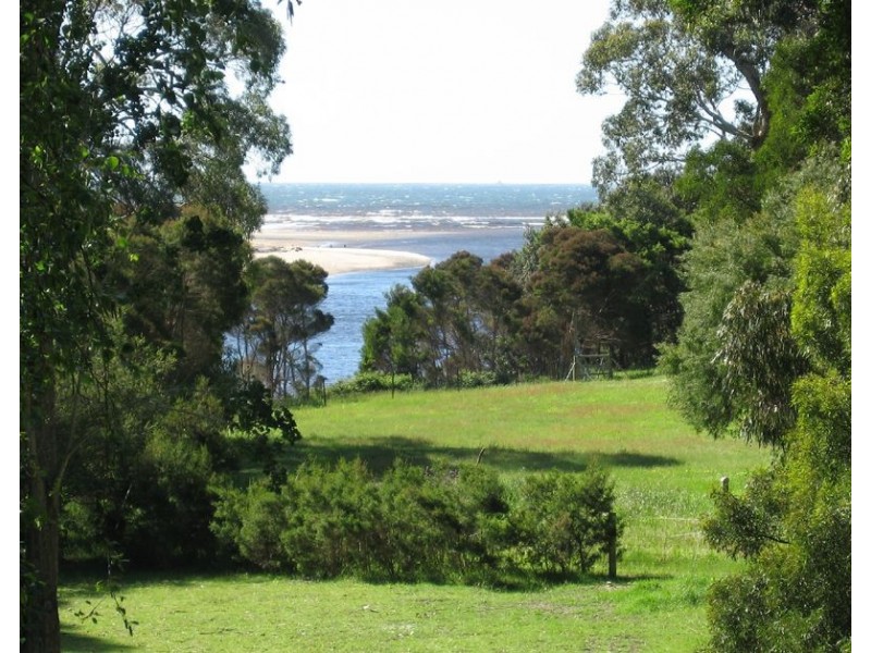 20 Allport Street, Leith TAS 7315