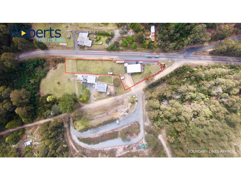 203 Cethana Road, Cethana TAS 7306