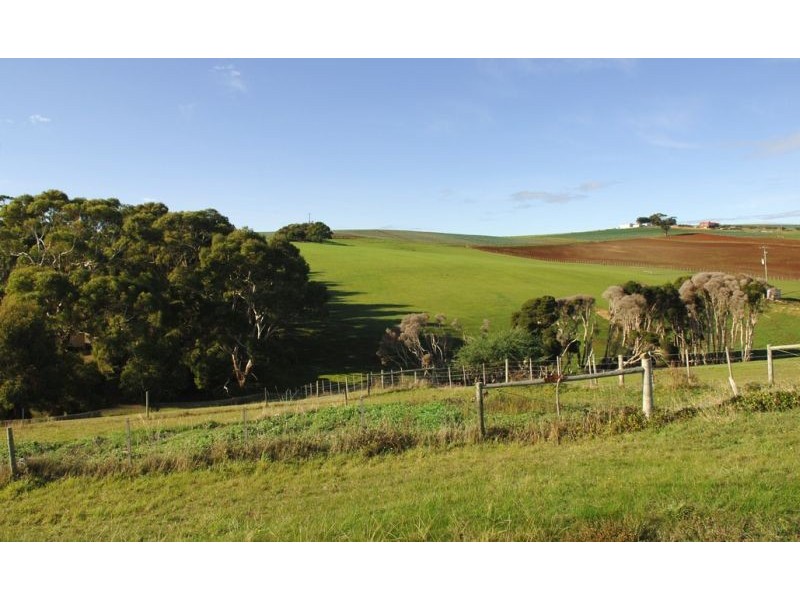 16 Braddons Lookout Road, Leith TAS 7315