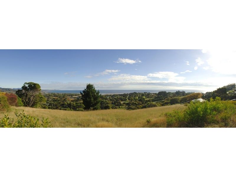16 Braddons Lookout Road, Leith TAS 7315