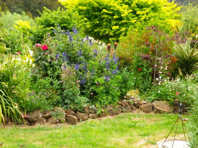 191 Goodland Road, Wilmot TAS 7310