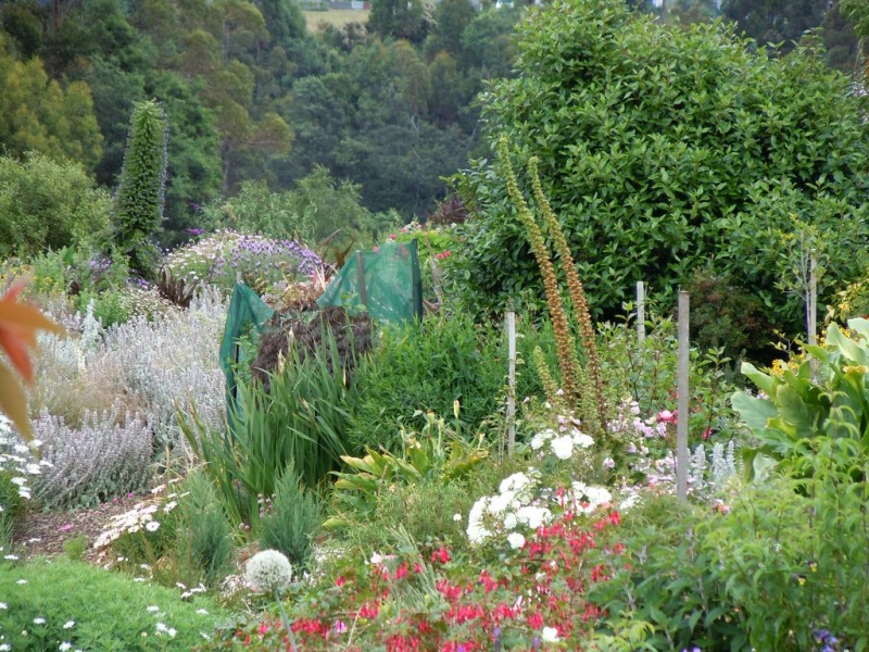 191 Goodland Road, Wilmot TAS 7310