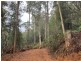. Gunns Plains Road, Gunns Plains TAS 7315
