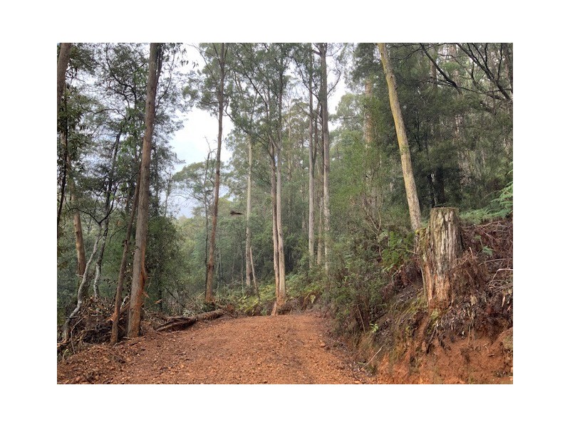 . Gunns Plains Road, Gunns Plains TAS 7315