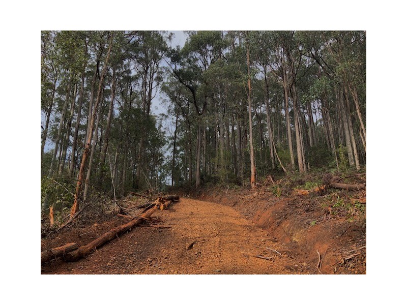 . Gunns Plains Road, Gunns Plains TAS 7315