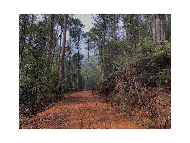 . Gunns Plains Road, Gunns Plains TAS 7315