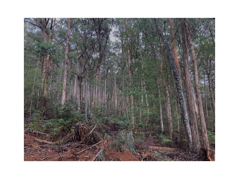 . Gunns Plains Road, Gunns Plains TAS 7315