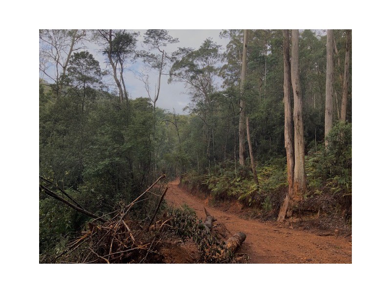 . Gunns Plains Road, Gunns Plains TAS 7315