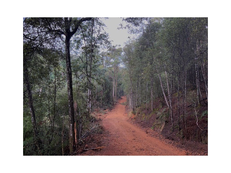 . Gunns Plains Road, Gunns Plains TAS 7315