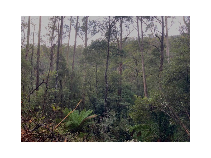 . Gunns Plains Road, Gunns Plains TAS 7315