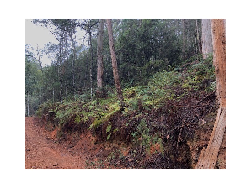 . Gunns Plains Road, Gunns Plains TAS 7315