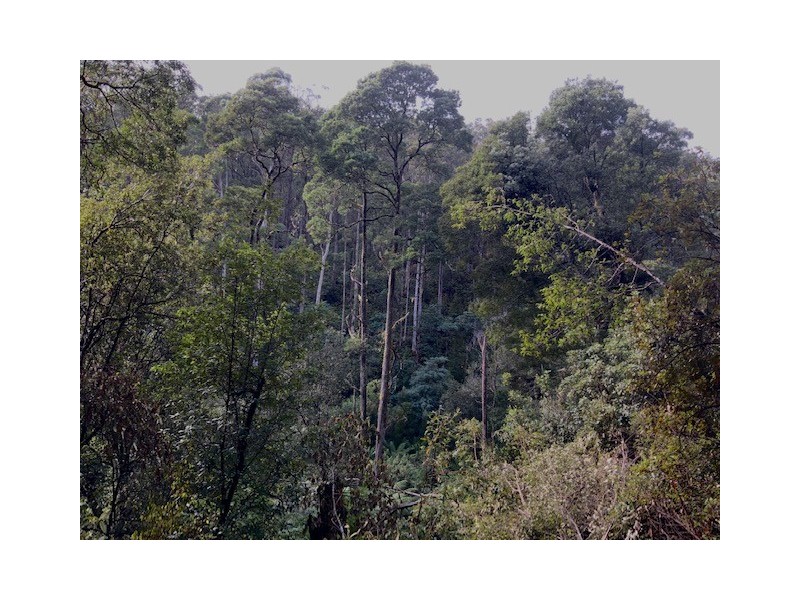 . Gunns Plains Road, Gunns Plains TAS 7315