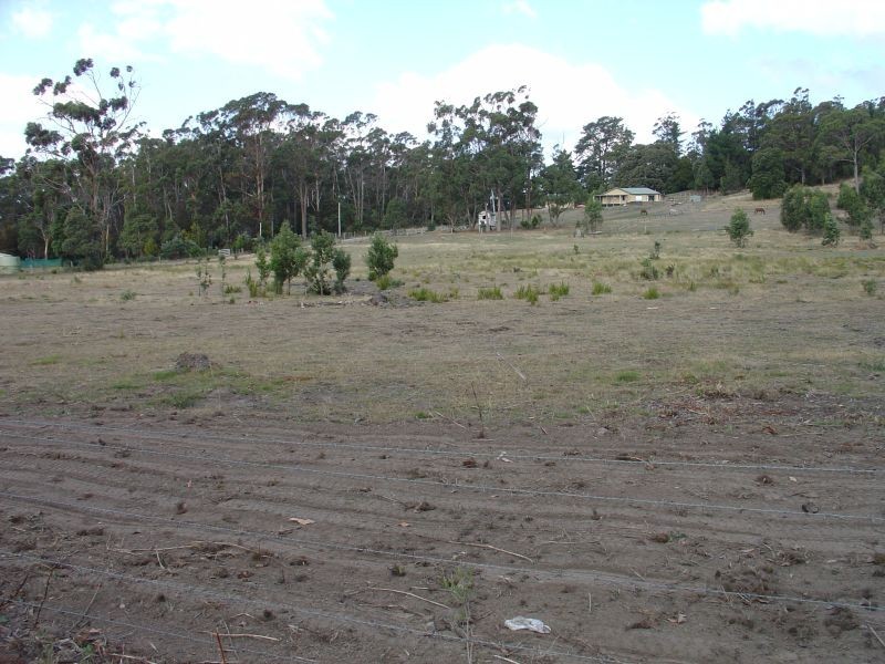 . Tarleton Road, Tarleton TAS 7310