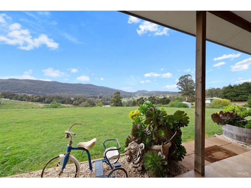 106 Brooks Road, Lower Barrington TAS 7306