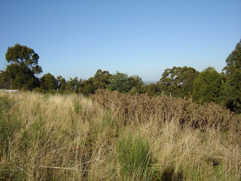 Lot 14 Stony Rise Road, Devonport TAS 7310