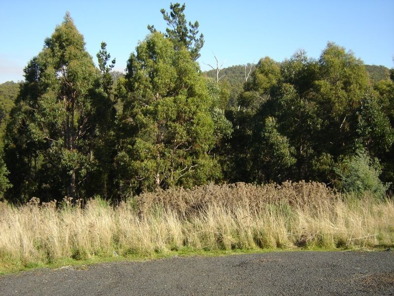 Lot 15 Stony Rise Road, Devonport TAS 7310