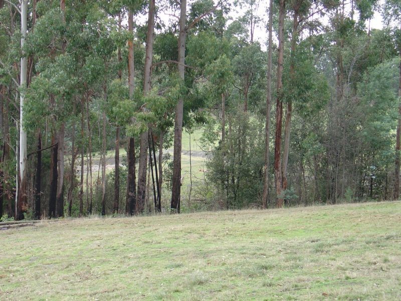 220 Kelcey Tier Road, Spreyton TAS 7310