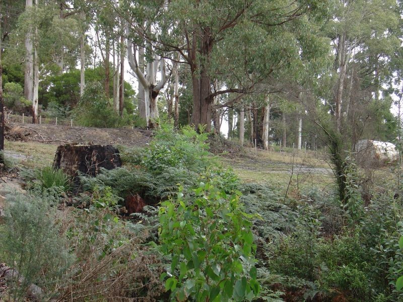 220 Kelcey Tier Road, Spreyton TAS 7310