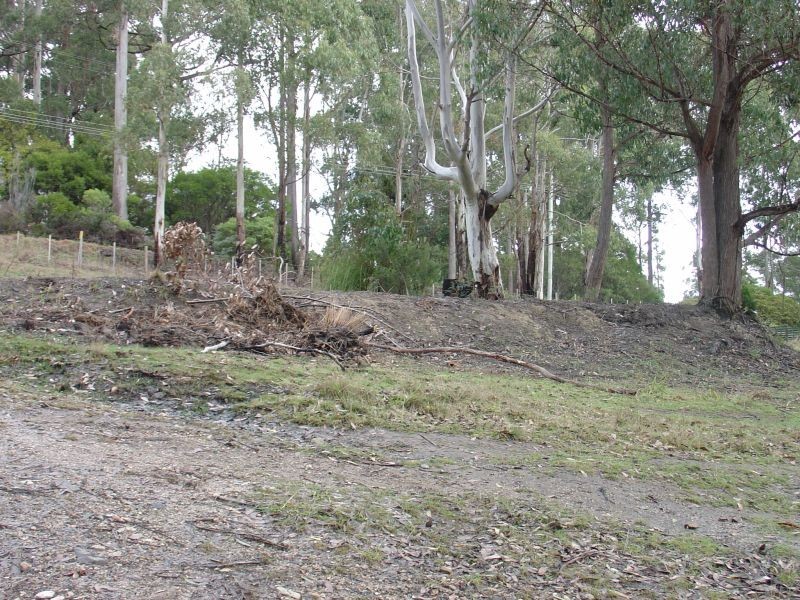 220 Kelcey Tier Road, Spreyton TAS 7310