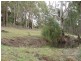 220 Kelcey Tier Road, Spreyton TAS 7310