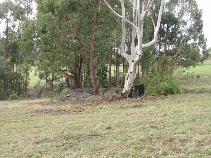 220 Kelcey Tier Road, Spreyton TAS 7310