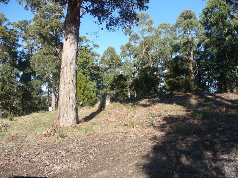 8 Ellice Hill Drive, Spreyton TAS 7310