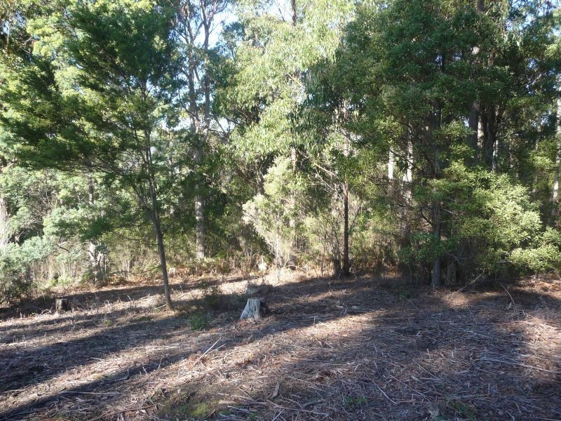 8 Ellice Hill Drive, Spreyton TAS 7310