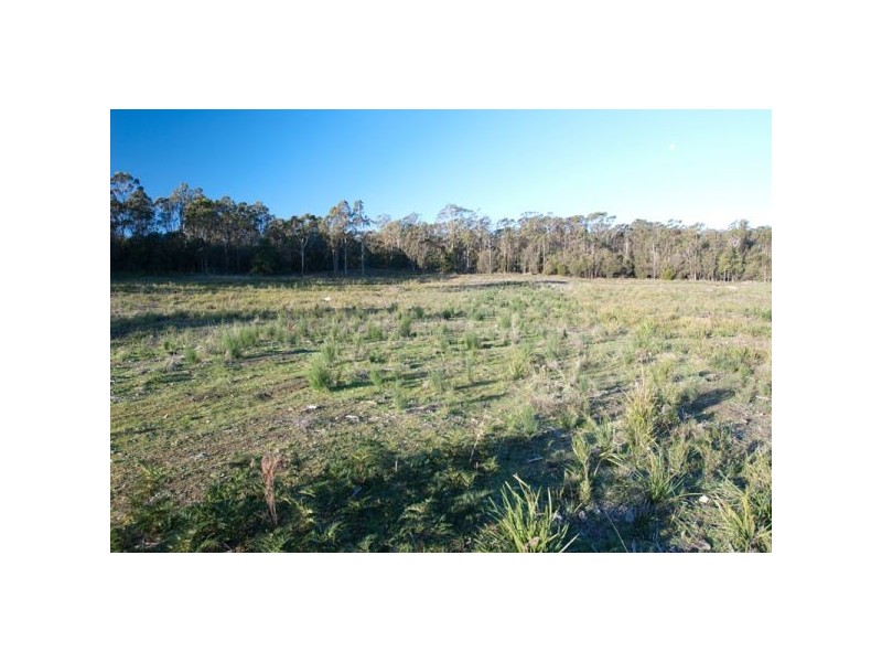 Lot 4 Shaw Street, Latrobe TAS 7307