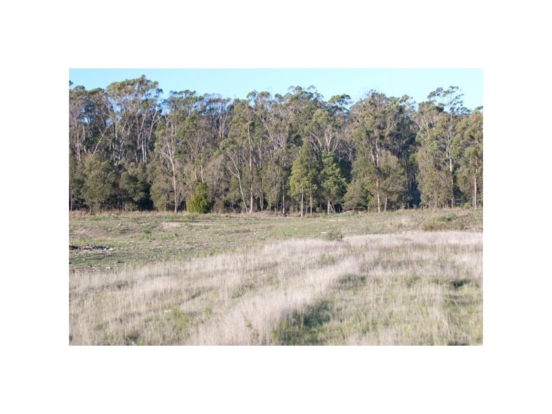 Lot 4 Shaw Street, Latrobe TAS 7307