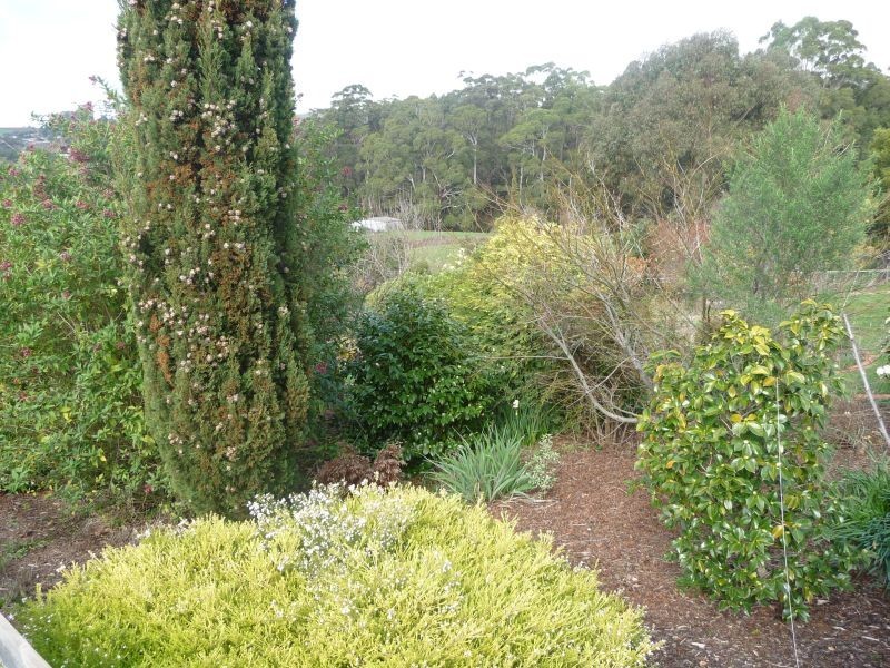 21 Walker Street, Forth TAS 7310