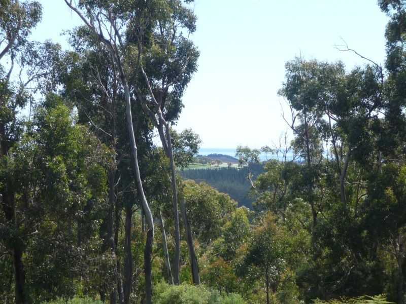 59 Nielsens Road, Devonport TAS 7310