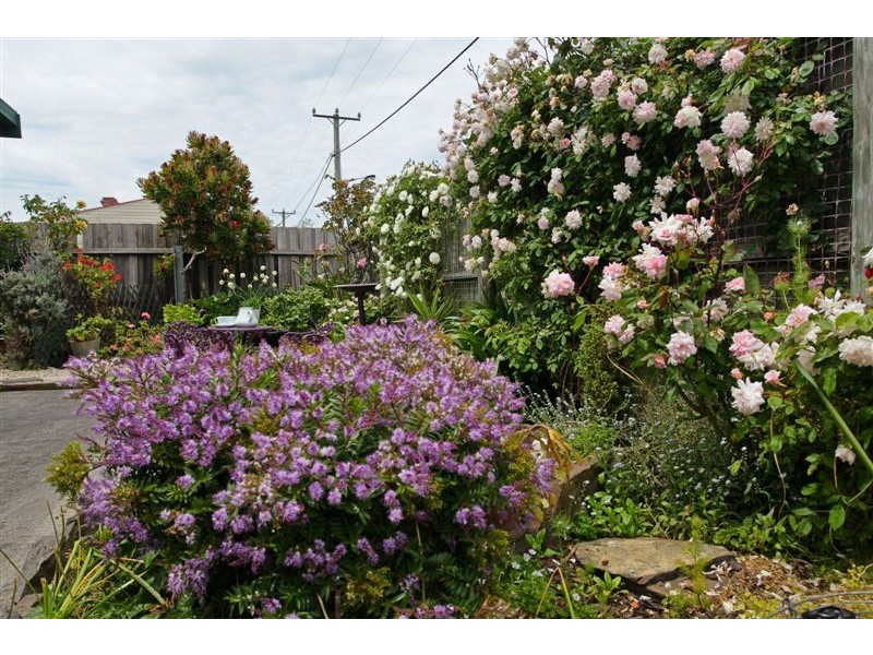 3/21 Wheeler Street, East Devonport TAS 7310